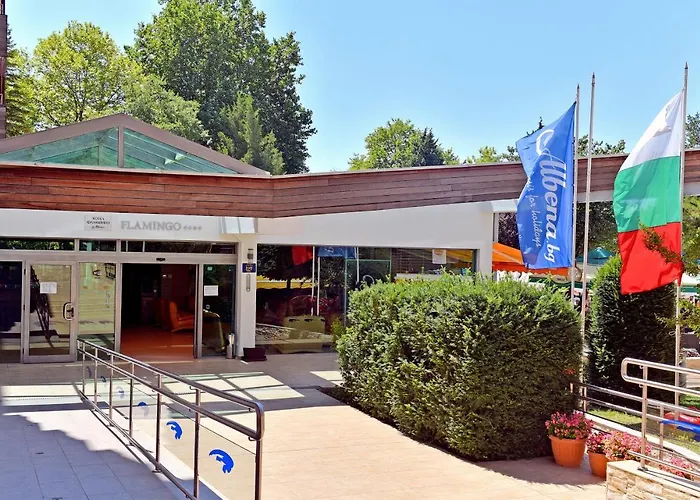 Flamingo 4* 4*