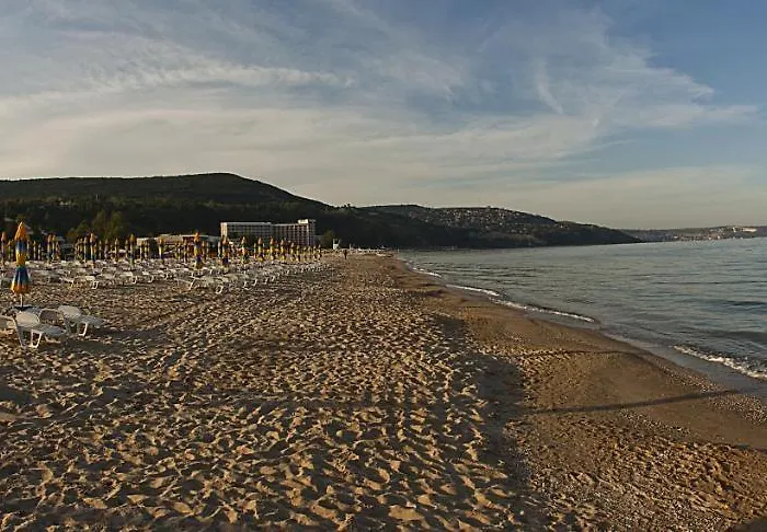 Szálloda Flamingo 4* 4*